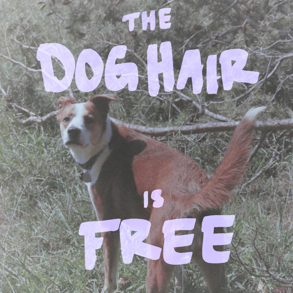 The Dog Hair is Free –&nbsp;Podcast